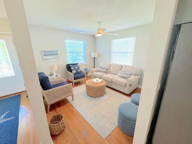 living room featuring hardwood / wood-style floors, a textured ceiling, and ceiling fan