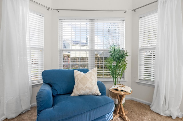 sitting room featuring carpet