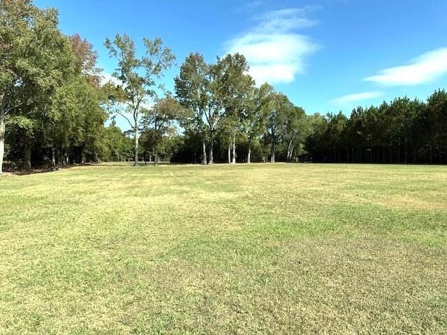 view of yard featuring a forest view