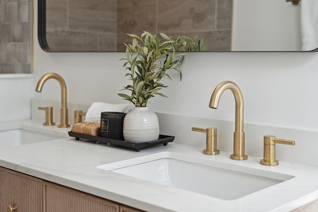 details featuring double vanity and a sink