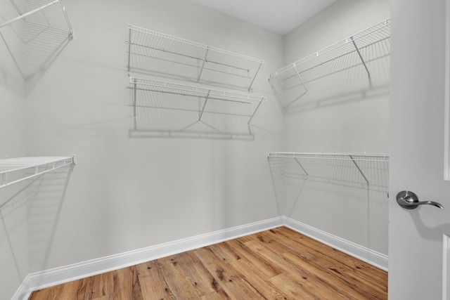 walk in closet featuring light wood-type flooring