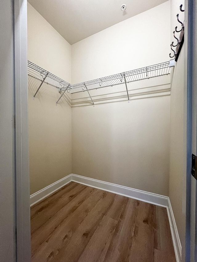 spacious closet with wood finished floors