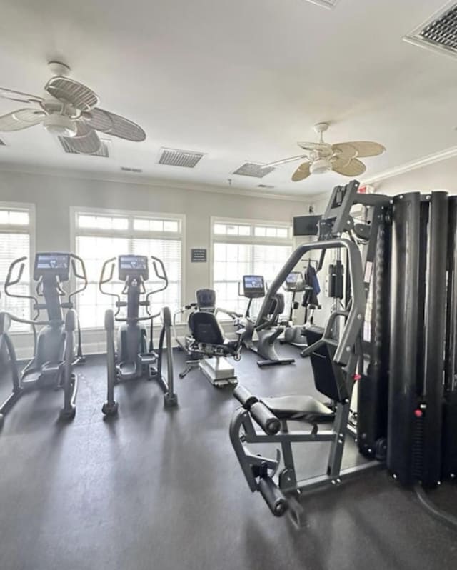 exercise room featuring visible vents, a ceiling fan, and ornamental molding