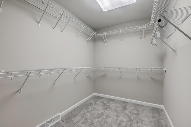 walk in closet featuring carpet floors and visible vents