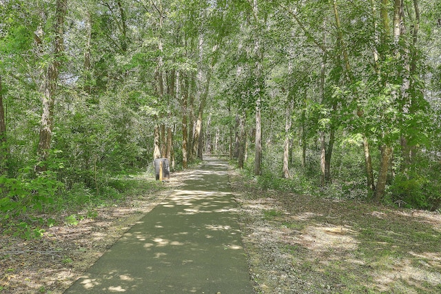 view of road with a forest view