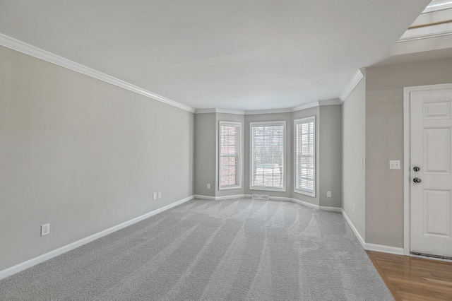 unfurnished room with ornamental molding, carpet, and baseboards