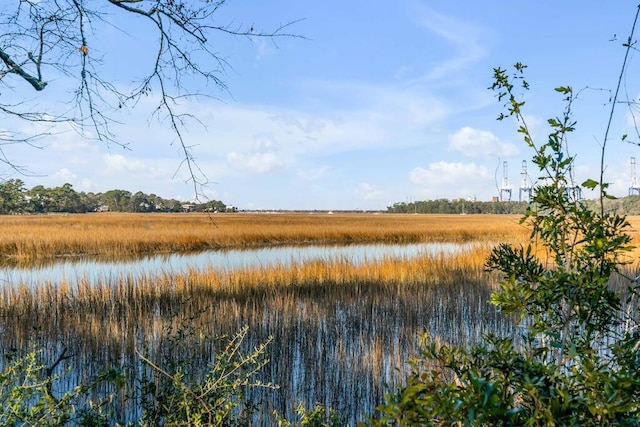 view of local wilderness with a water view