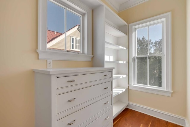 spacious closet featuring dark wood-style floors