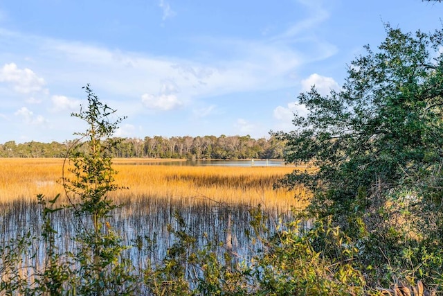 view of landscape with a water view and a forest view