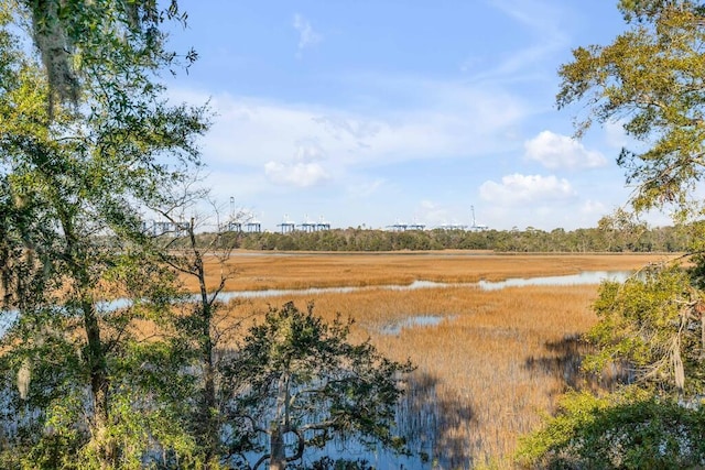 view of nature featuring a water view