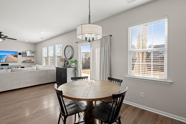 dining area with ceiling fan with notable chandelier and hardwood / wood-style flooring