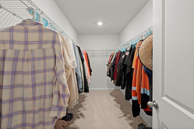 spacious closet with light carpet