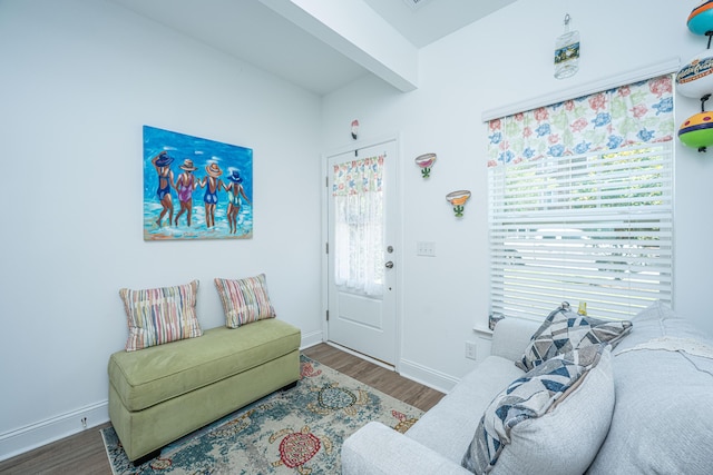 1242 Allusion Ln Unit 206, Mount Pleasant, SC 29466 - living room featuring wood finished floors and baseboards