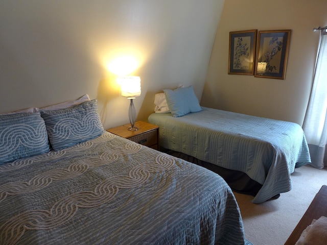 237 Driftwood Ln, Edisto Island, SC 29438 - view of carpeted bedroom
