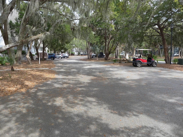 237 Driftwood Ln, Edisto Island, SC 29438 - view of road featuring street lighting