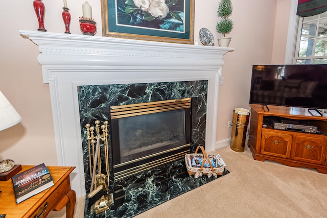 details featuring a premium fireplace and carpet