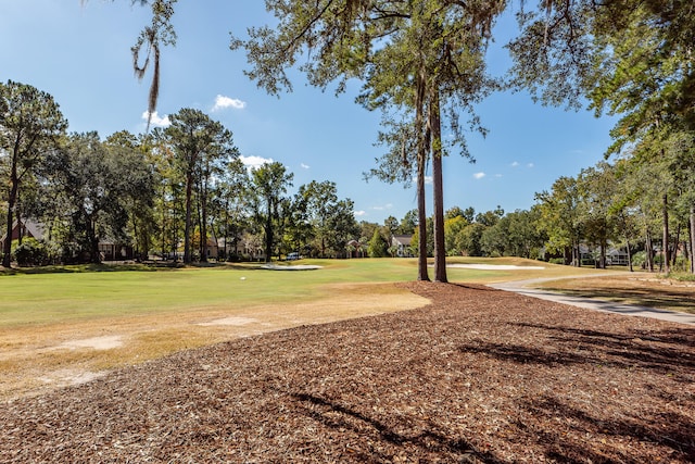 surrounding community featuring a yard