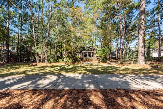 view of front of home with a front yard