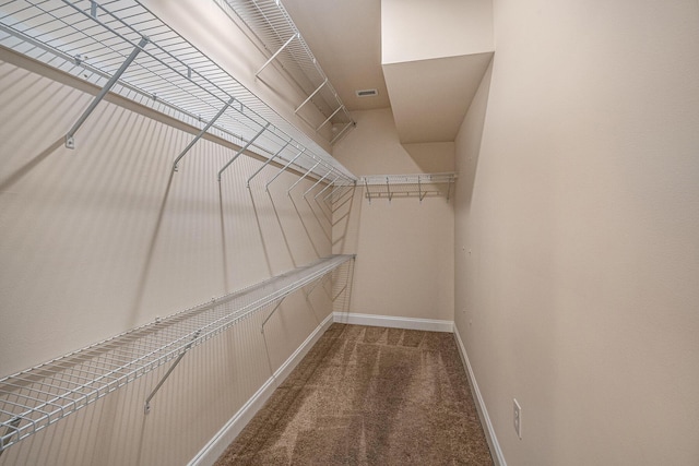 walk in closet featuring carpet floors