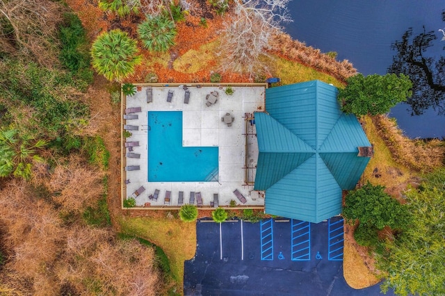 bird's eye view