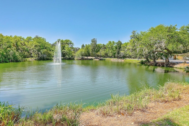 view of water feature featuring a view of trees