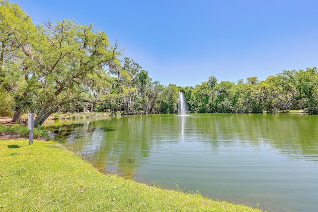 water view with a view of trees