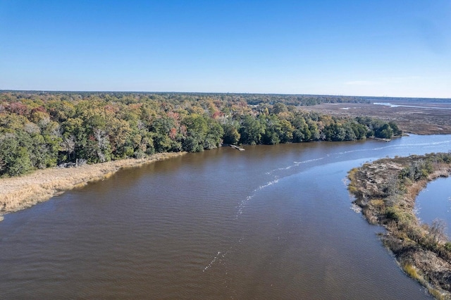 birds eye view of property featuring a water view and a forest view