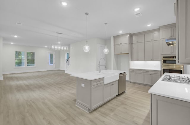 3029 Robeson Trce, Johns Island, SC 29455 - kitchen featuring a sink, appliances with stainless steel finishes, light wood-style flooring, gray cabinetry, and recessed lighting
