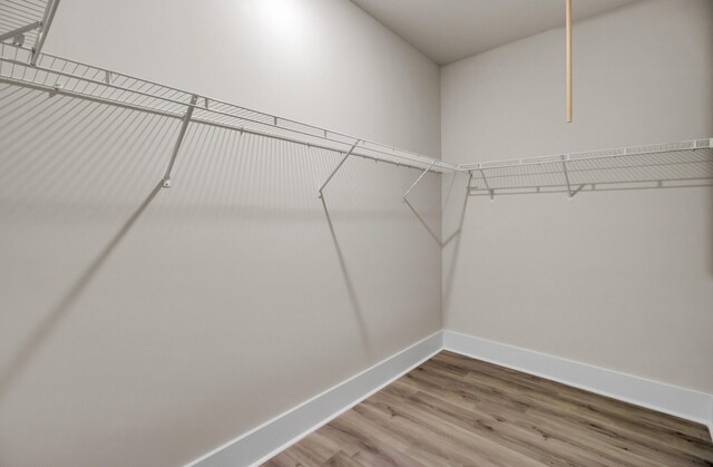 3029 Robeson Trce, Johns Island, SC 29455 - walk in closet with wood finished floors