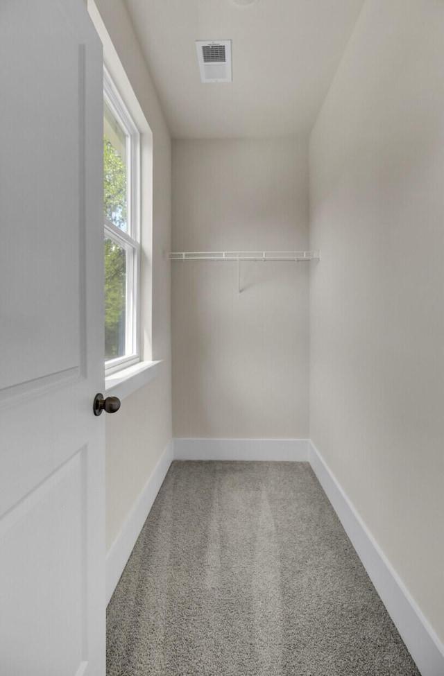 3029 Robeson Trce, Johns Island, SC 29455 - walk in closet with carpet flooring