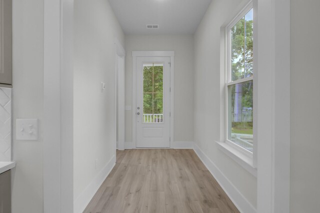 3029 Robeson Trce, Johns Island, SC 29455 - doorway to outside with plenty of natural light, light wood-type flooring, and baseboards