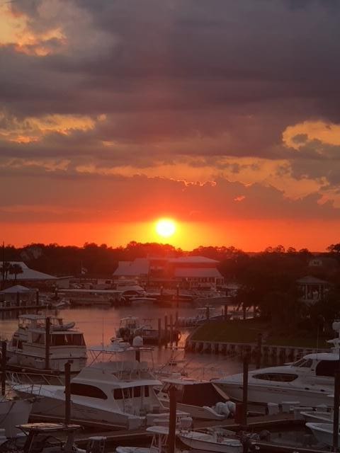 30 Yacht Harbor Ct, Isle Of Palms, SC 29451 - property view of water