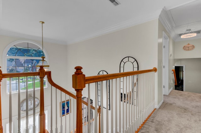 corridor with crown molding and carpet floors