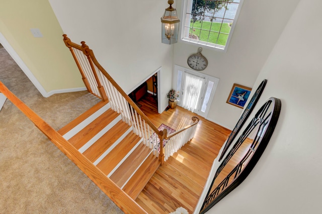 stairs with a towering ceiling, carpet flooring, and a wealth of natural light