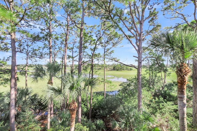 view of local wilderness featuring a water view