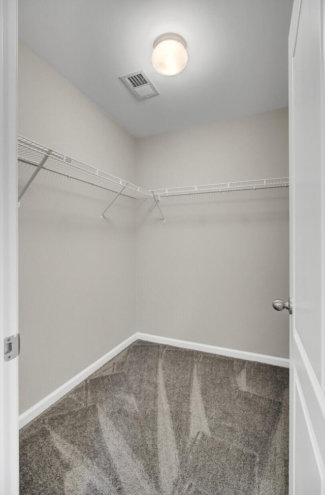 walk in closet with carpet floors