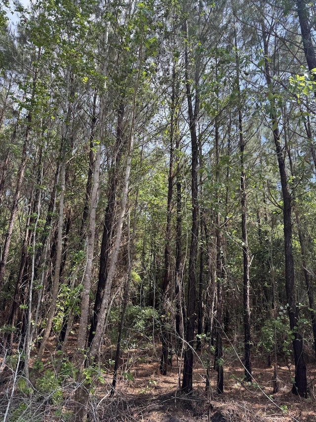 1-F Mt Carmel Rd, Walterboro, SC 29488