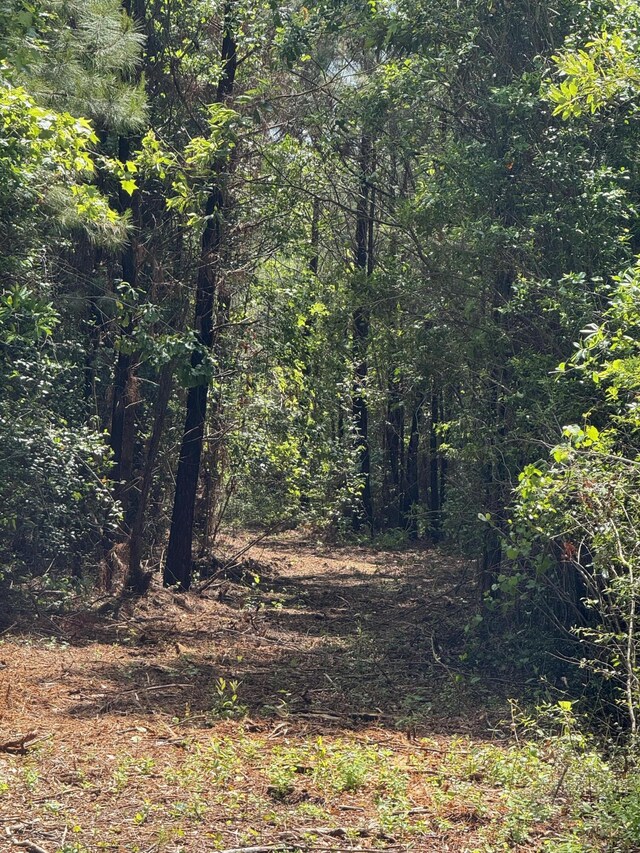 1-F Mt Carmel Rd, Walterboro, SC 29488