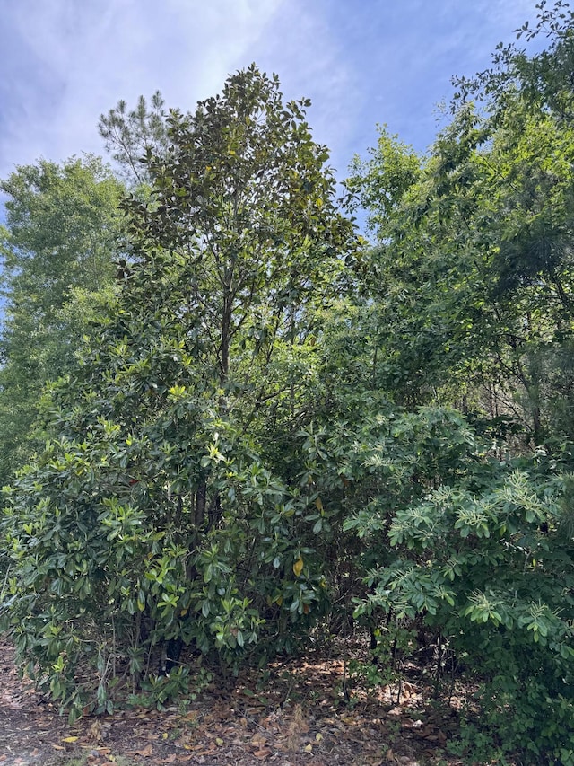 1-F Mt Carmel Rd, Walterboro, SC 29488