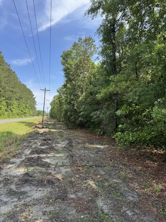 1-F Mt Carmel Rd, Walterboro, SC 29488