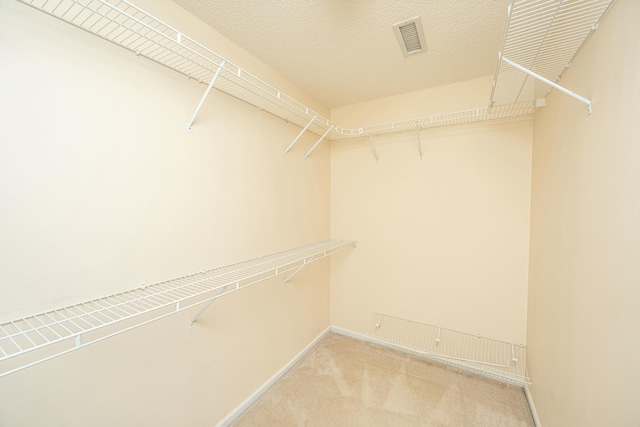 spacious closet featuring carpet