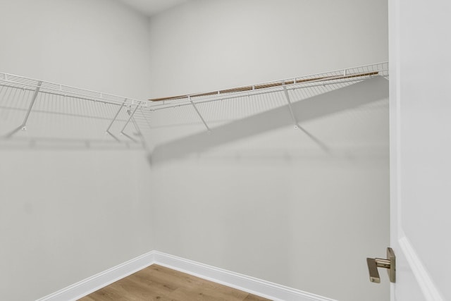 spacious closet featuring light wood-type flooring