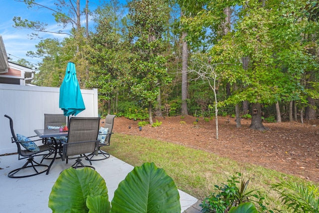 view of yard with a patio