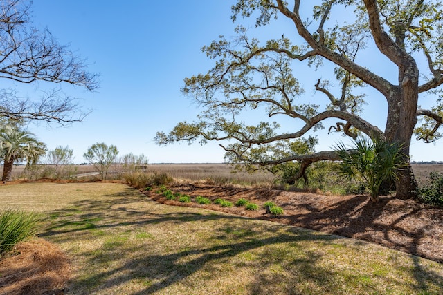 view of yard with a rural view