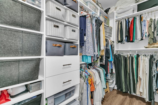 spacious closet with hardwood / wood-style flooring