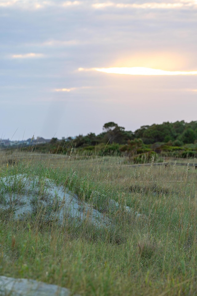 view of nature at dusk