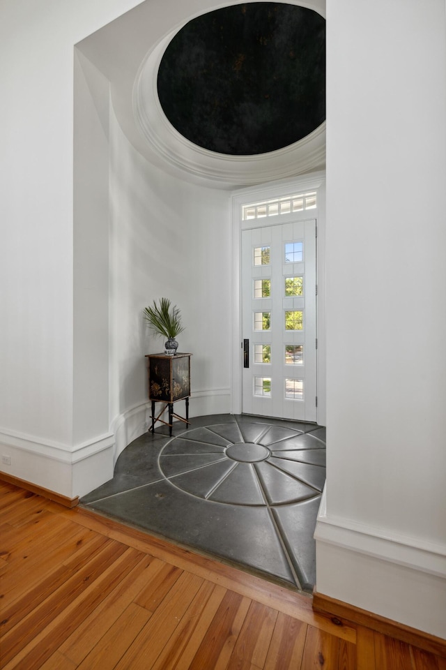 foyer featuring wood-type flooring and a tray ceiling