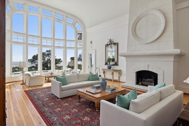 living room featuring a towering ceiling, a fireplace, and hardwood / wood-style floors