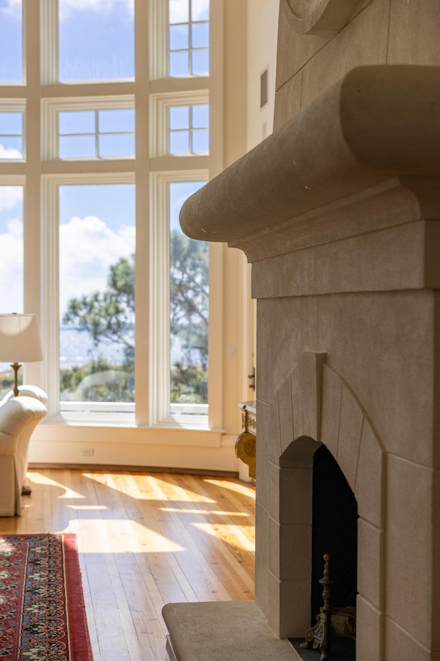 room details with wood-type flooring