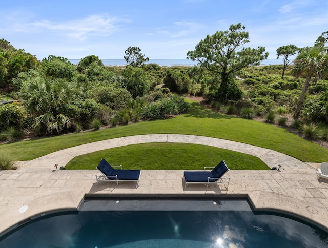 view of swimming pool featuring a patio area and a lawn